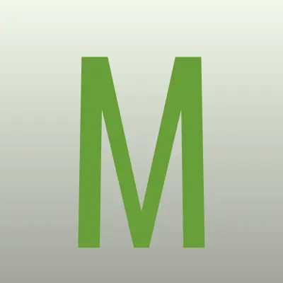 Магазин, ИП Злыгостев О.В., лого-визитка