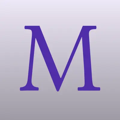 Magic Systems, торгово-установочная компания, лого-визитка