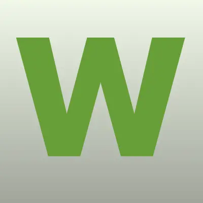 Wit Mooni, магазин обуви, лого-визитка